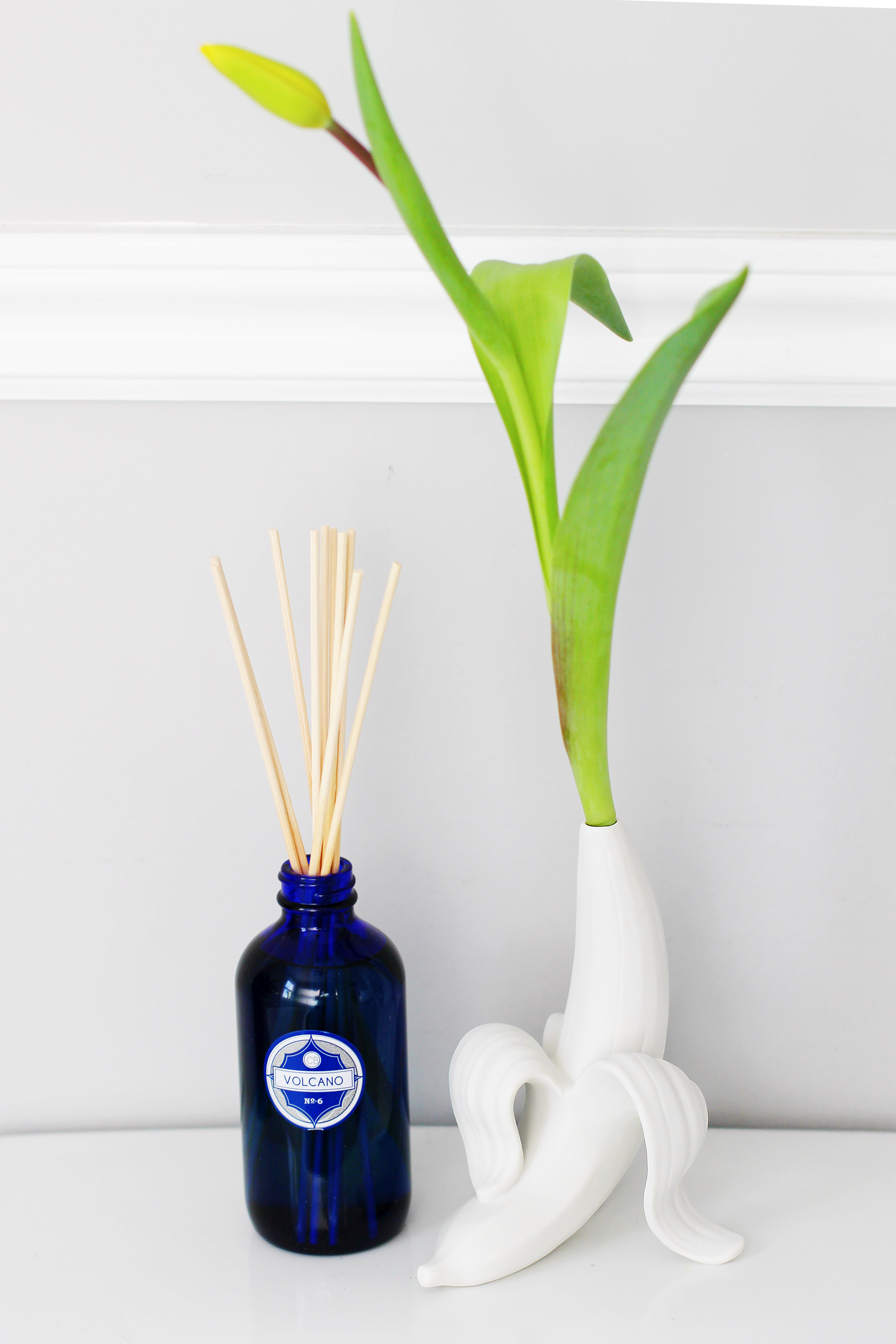 创意家具 - 附件|花器|办公家具|设计师家具|香蕉芽花瓶