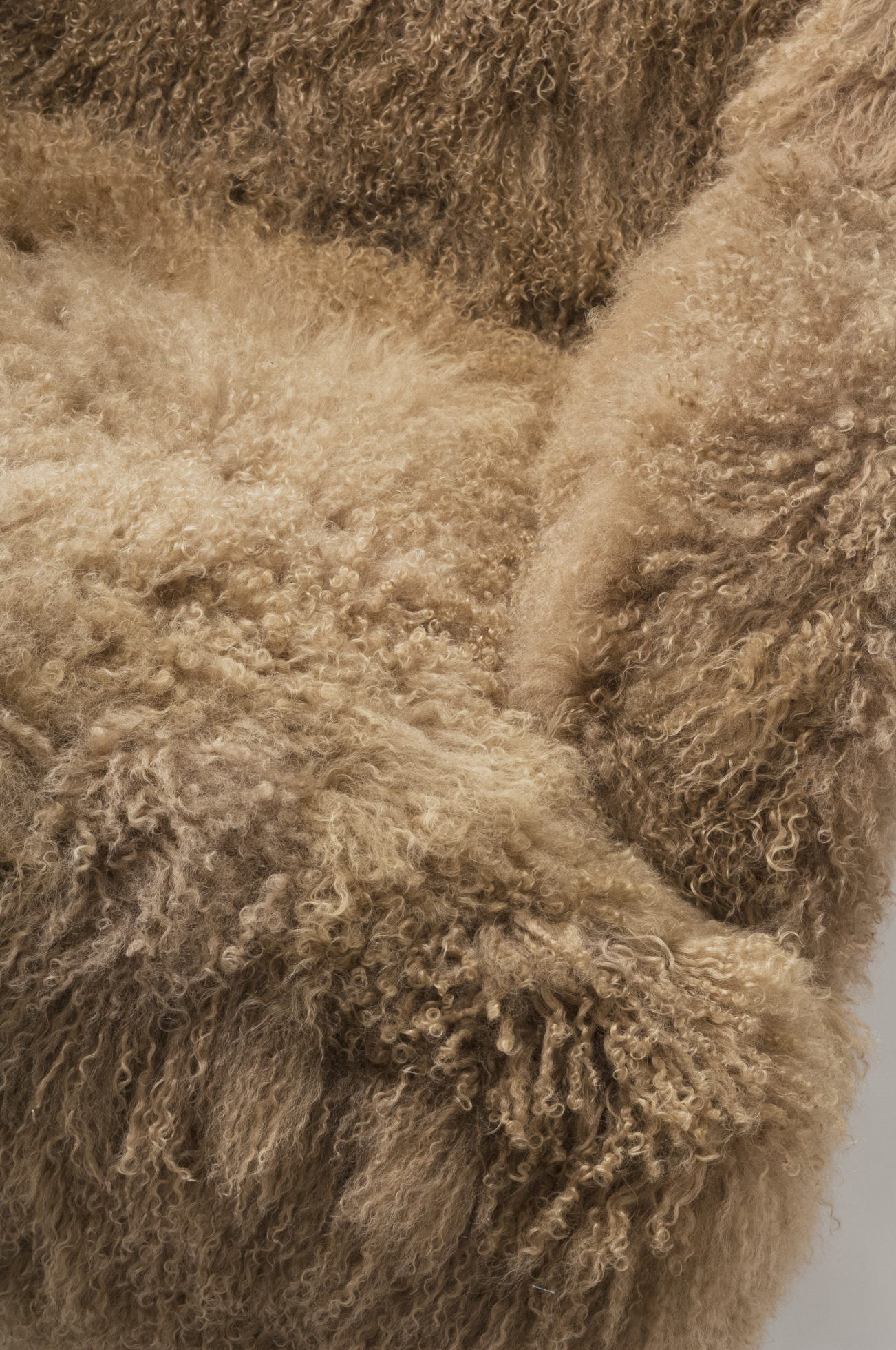 创意家具 - 坐具|休闲椅|办公家具|设计师家具|mammoth wing 椅子