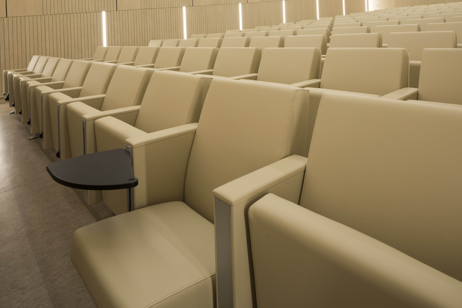 公共座椅|礼堂椅、报告厅椅|办公家具|设计师家具|C100 剧院/礼堂椅