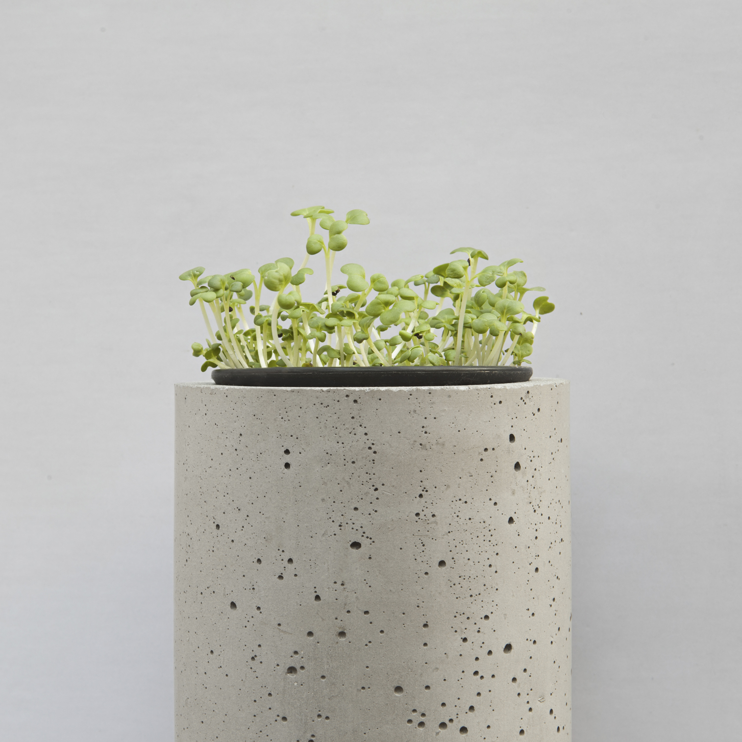 创意家具 - 附件|花器|办公家具|设计师家具|挂墙式花钵-杯