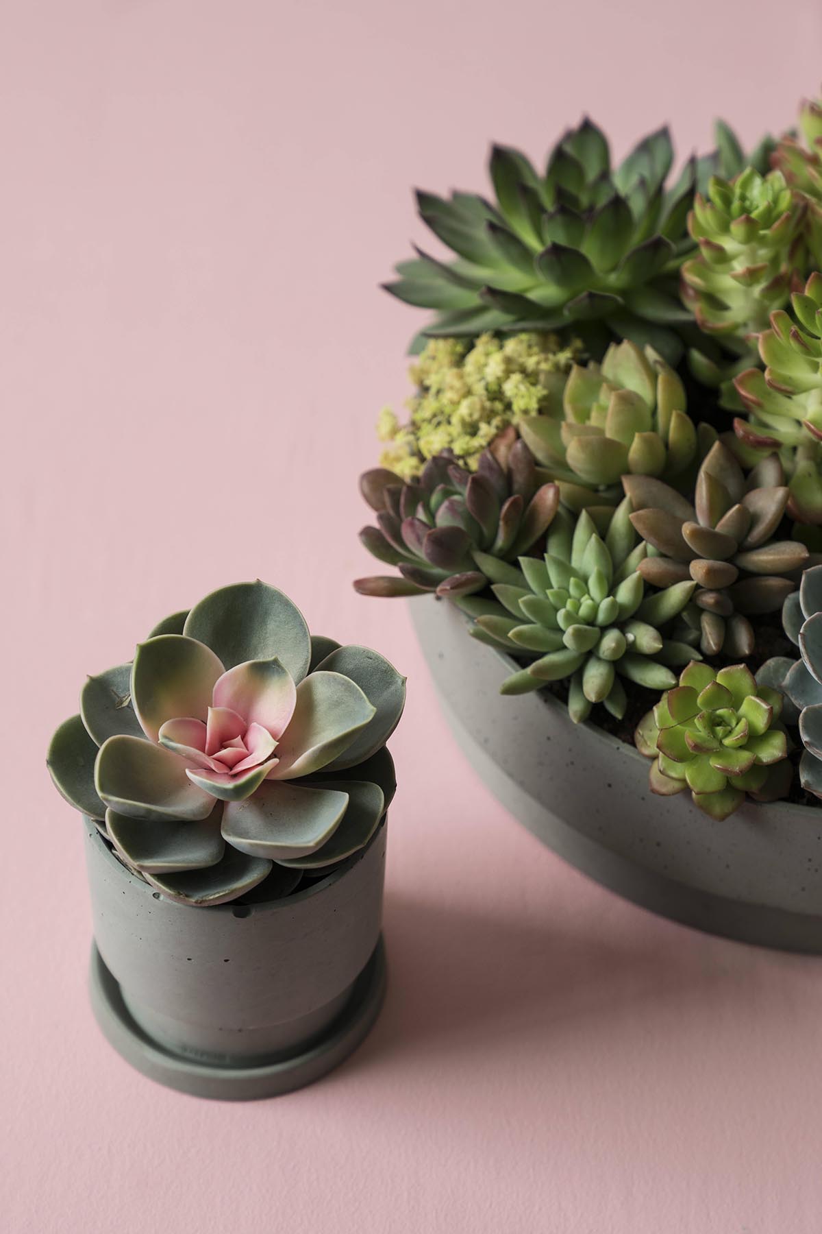 创意家具 - 附件|花器|办公家具|设计师家具|花钵/蜡烛台-息