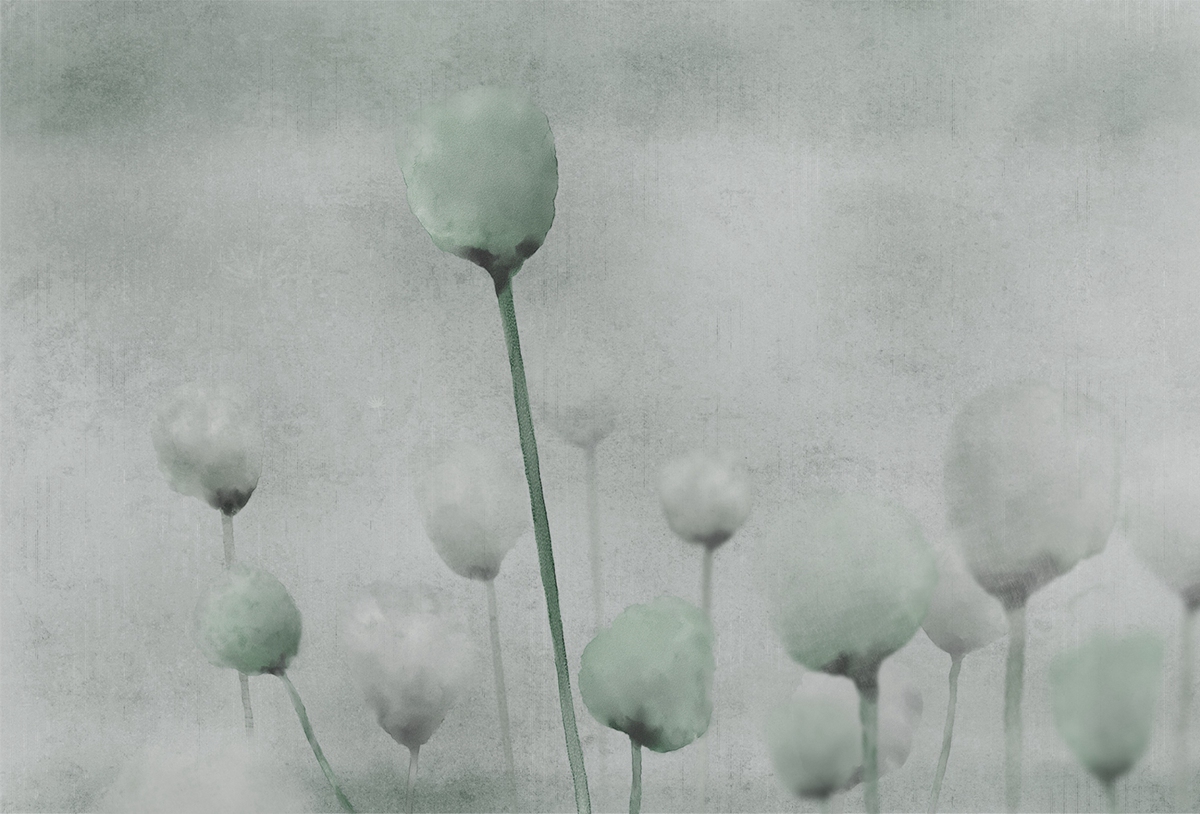 创意家具 - 附件|装饰画/墙饰|办公家具|设计师家具|罂粟-原创定制壁画