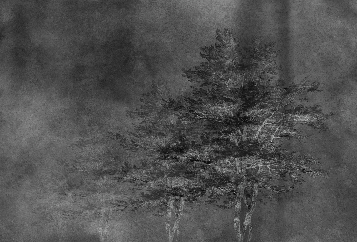 创意家具 - 附件|装饰画/墙饰|办公家具|设计师家具|雾凇-原创定制壁画