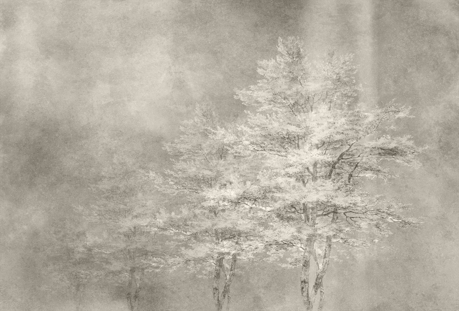 创意家具 - 附件|装饰画/墙饰|办公家具|设计师家具|雾凇-原创定制壁画