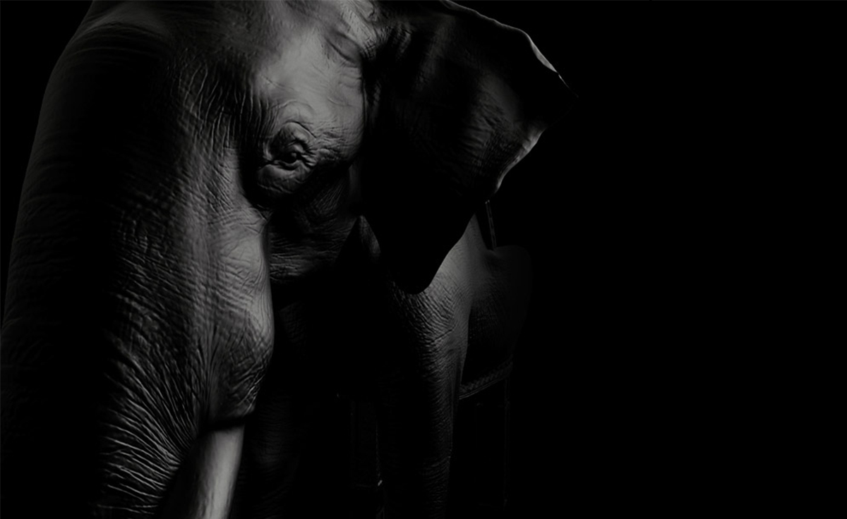 创意家具 - 坐具|休闲椅|办公家具|设计师家具|大象椅