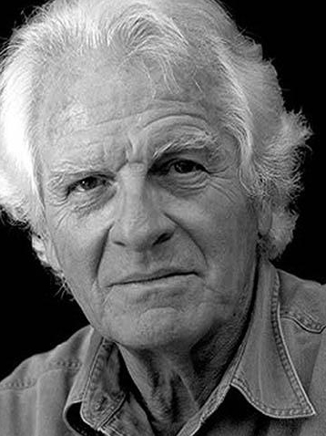 皮埃尔·波林(Pierre Paulin)